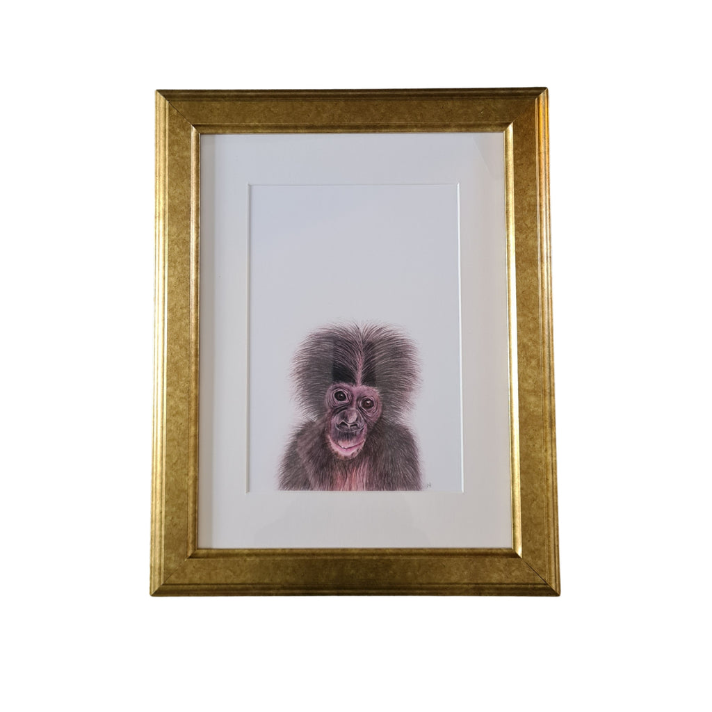 Baby monkey art print