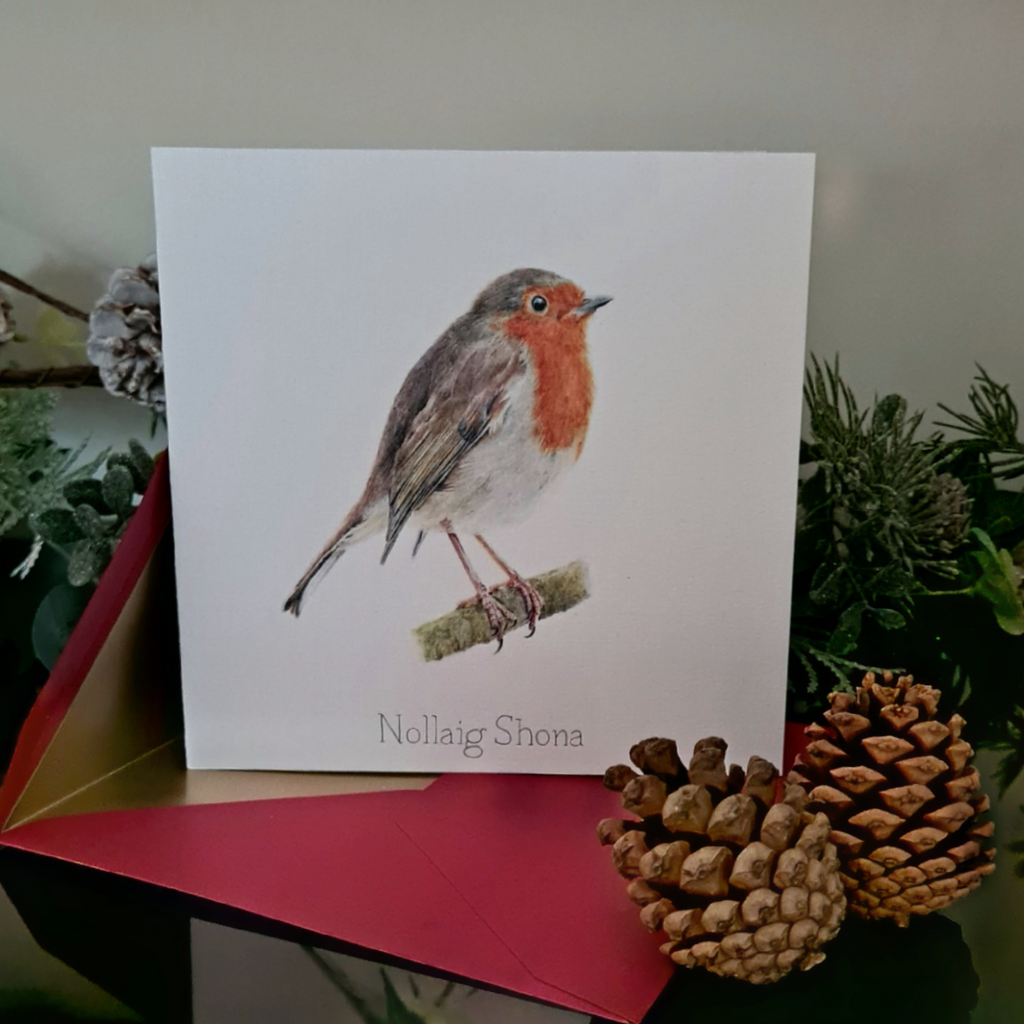 Robin Christmas cards. 
