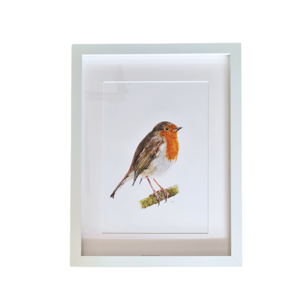 ‘Songbird’ Robin Art Print.