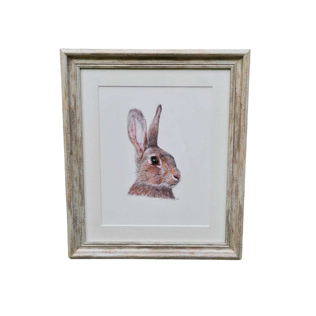 Little Hare / Giorria Beag