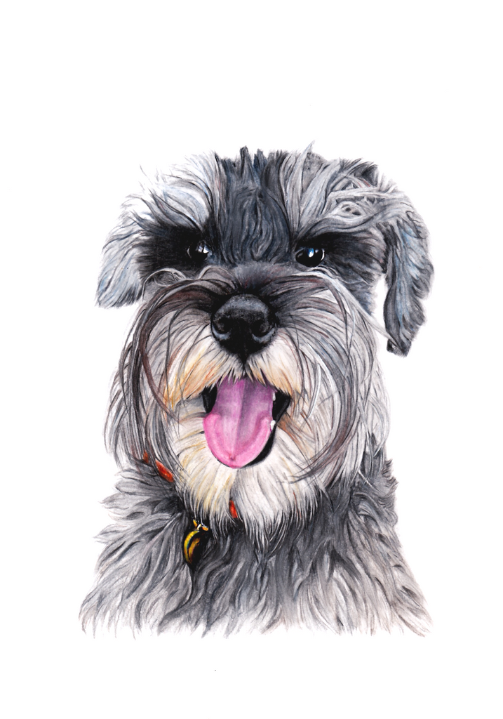 Pet Portrait