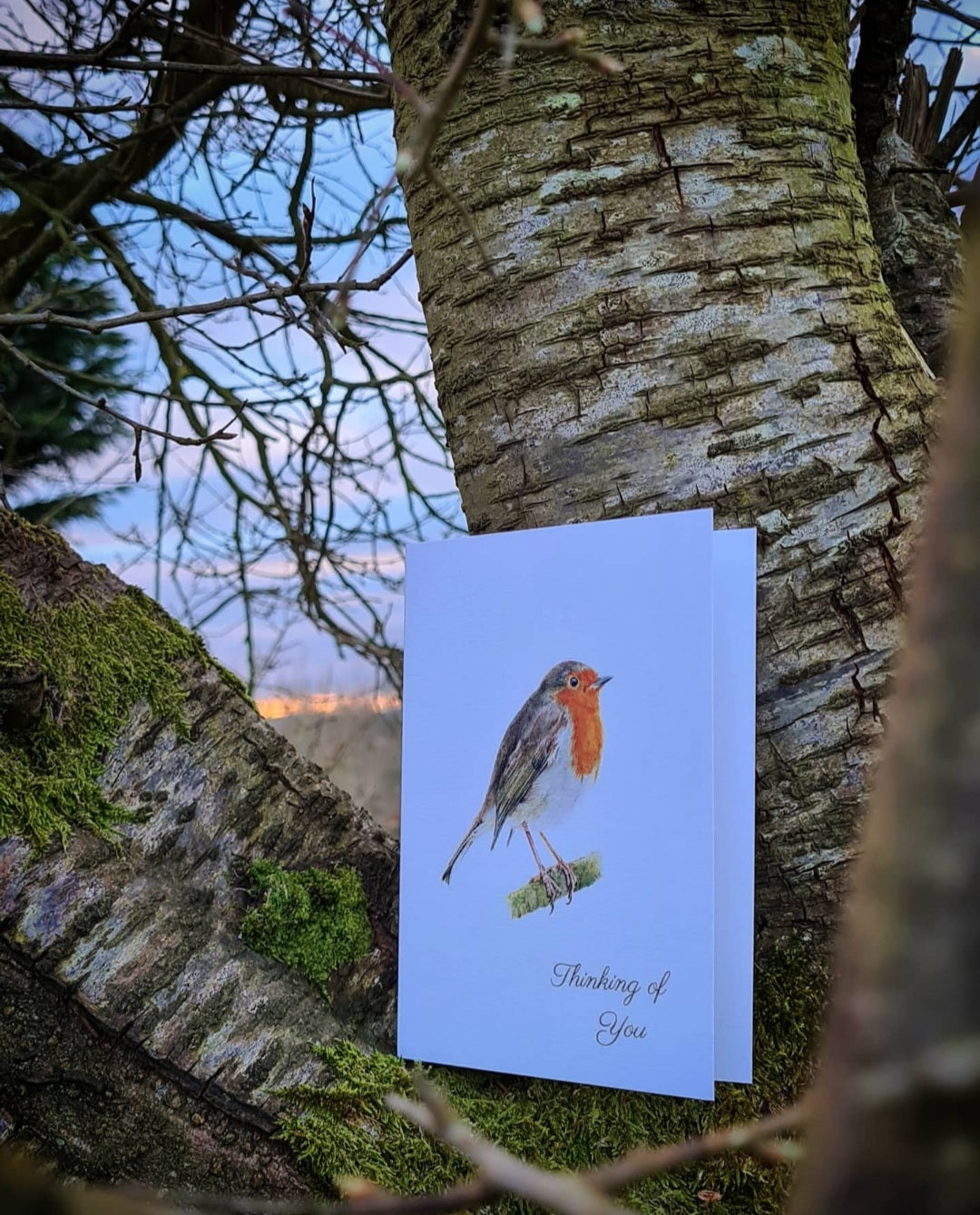 Nigel Quiney Weihnachtskarte 'Thinking Of You' – Mit Goldfolie, Sunset Robins, 198x134 Mm