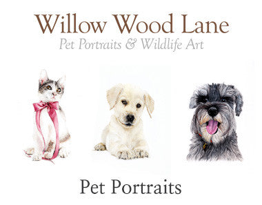 Pet Portrait
