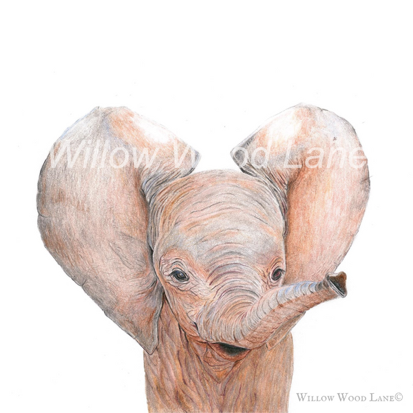 Baby elephant art print