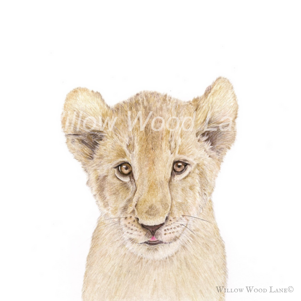 Baby Lion art print