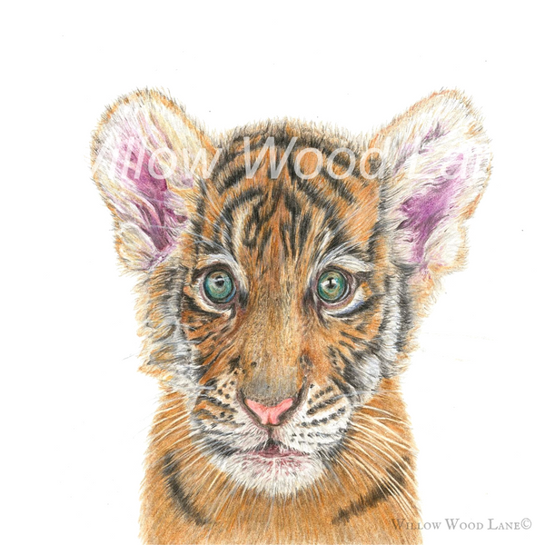 Willow Wood Lane Baby Tiger Art Print