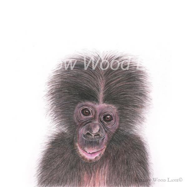 Baby Monkey Art Print by Willow Wood Lane
