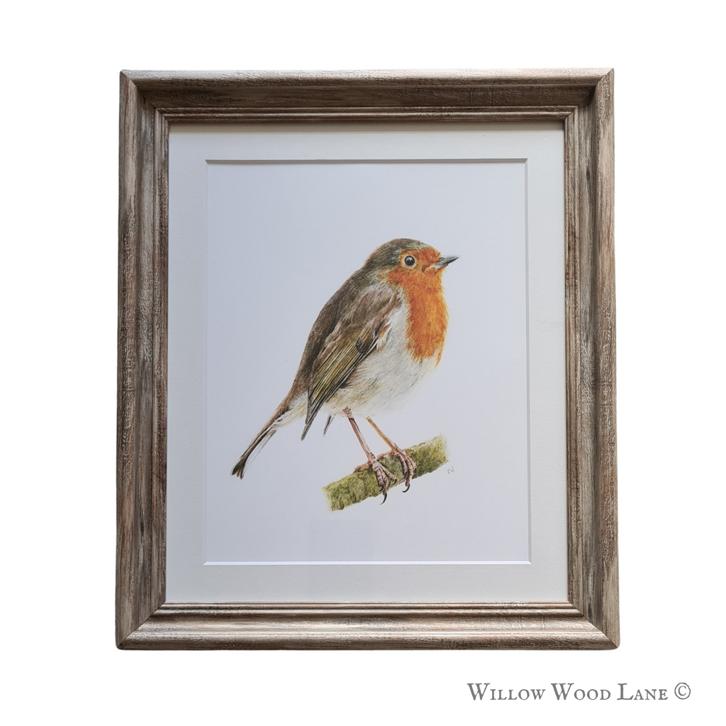 Little Robin art print