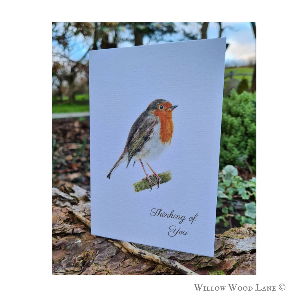 Songbird robin greeting card