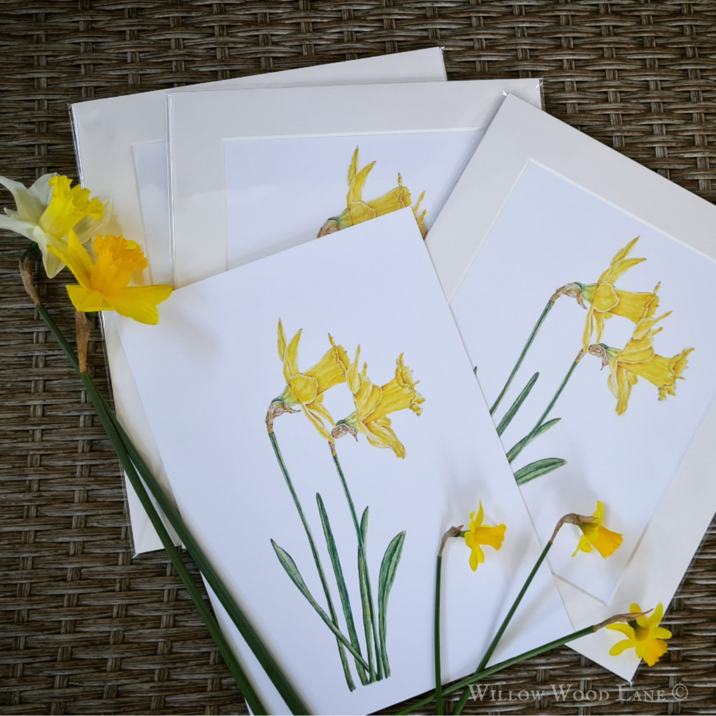 Daffodil art print