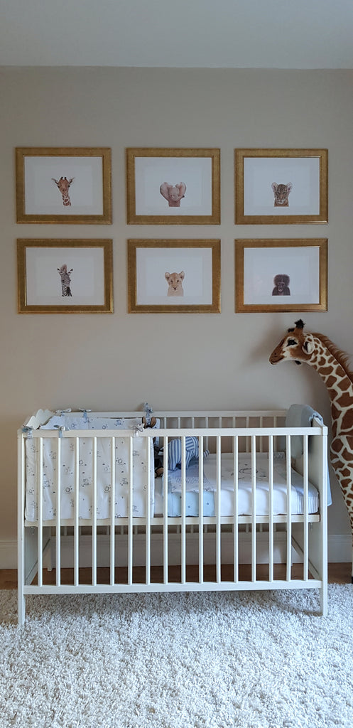 Set of 6 Framed Baby Animal Art Prints. (Gold frames)